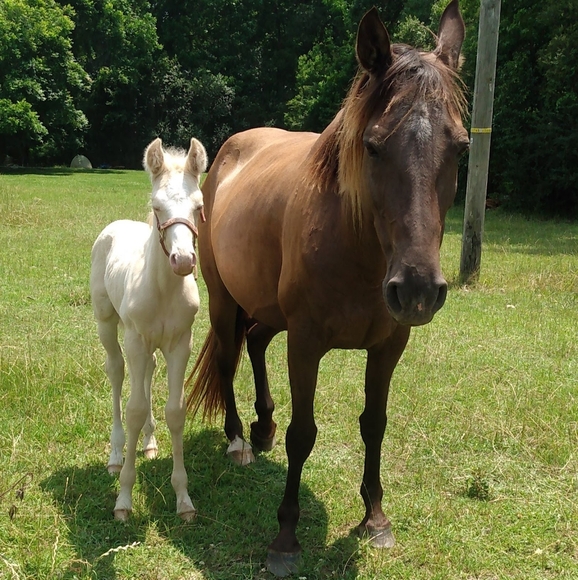 "MendyLew'sMadness" - Picture 8 of 10